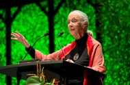 
Dr. Jane Goodall