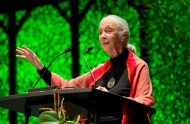 Dr. Jane Goodall